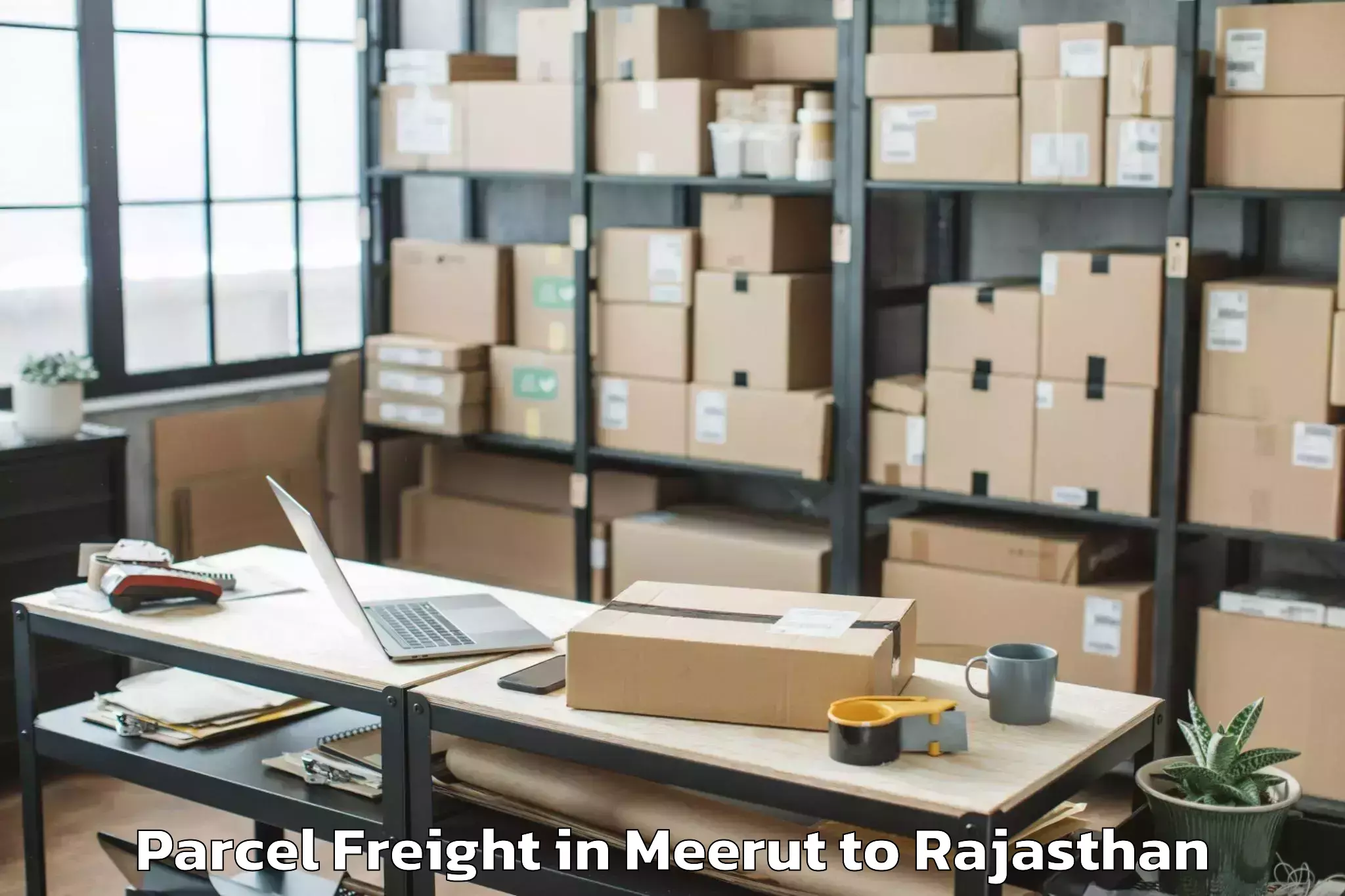 Book Meerut to Dariba Parcel Freight Online